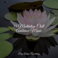Nighttime Nocturnes_Life Sounds Nature,Oasis de Détente et Relaxation,Deep Sleep