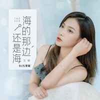 海的那边还是海_王晴