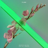 Never Be Like You_Flume,KAI