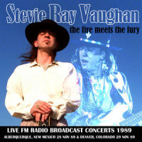 Wall Of Denial_Stevie Ray Vaughan