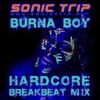 Anybody(feat. Burna Boy)_Sonic Trip,Burna Boy