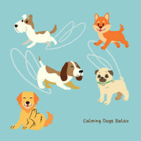 Nice Vibe_Piano Peace,Pet Music Therapy,Pets Love Music