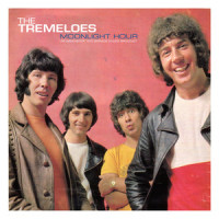 Here Comes My Baby_The Tremeloes