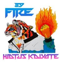 Molasses_Hiatus Kaiyote
