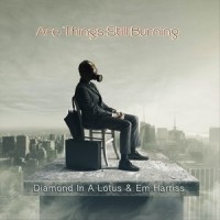 Are Things Still Burning_Diamond In A Lotus,Em Harriss