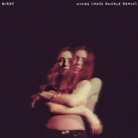 Wings_Birdy