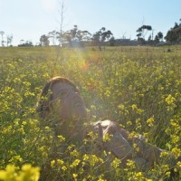 Should I See You Again_Kerryn Fields