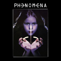 Phoenix Rising_Phenomena