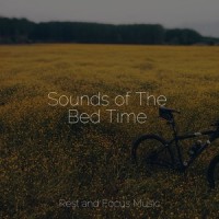 Nightfall_Sounds of Nature White Noise Sound Effects,Wellness,Relaxing Sleep Music