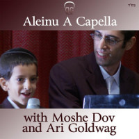 Aleinu(feat. Moshe Dov Goldwag)_Ari Goldwag,Moshe Dov Goldwag