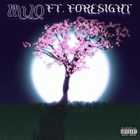 Pink Flower Petals(feat. Foresight)_Muo,Foresight