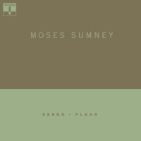 Seeds_Moses Sumney