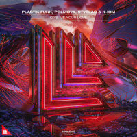 Give Me Your Love_Plastik Funk,polmoya,9tySlac,K-ICM