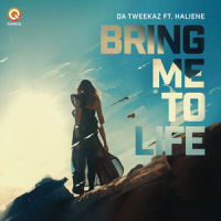 Bring Me To Life_Da Tweekaz,HALIENE