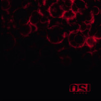 Terminal (Endless)_OSI,Jim Matheos,Kevin Moore