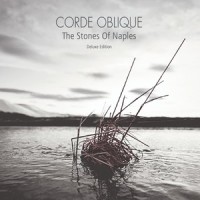 Flying_Corde Oblique