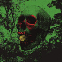 Your Hatless Friend_John Dwyer,Nick Murray,Brad Caulkins,Tom Dolas,Greg Coates