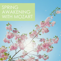 Mozart, Mozart, Mozart: Symphony No. 35 in D Major, K. 385 "Haffner" - III. Menuetto (Live)_Wiener Philharmoniker,Leonard Bernstein