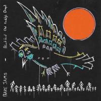 Blackbird_Bare Jams