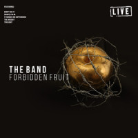 Organ Solo_The Band