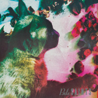 Time Thief_Pale Saints