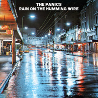 Not Quite A Home_The Panics