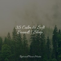 Restful Solitude_Deep Sleep Relaxation,Echoes of Nature,Deep Sleep
