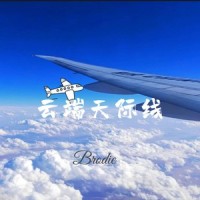 云端天际线_Brodie