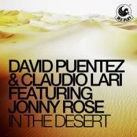 In the Desert(feat. Jonny Rose)_David Puentez,Claudio Lari,Jonny Rose