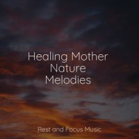 Pegasus Twilight_Pink Noise,Kings of Nature,Native American Flute