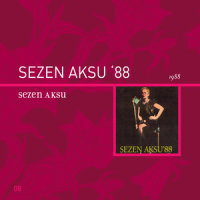 Bir Çocuk Sevdim_Sezen Aksu