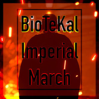 Imperial March_John Williams