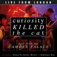 Easy_Curiosity Killed The Cat