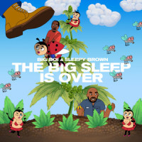 The Big Sleep is Over(feat. Kay-I)_Big Boi,Sleepy Brown,KAY-I