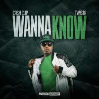 Wanna Know(feat. Twista)_Cash Clip,Twista