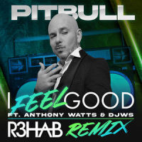 I FEEL GOOD_Pitbull,Anthony Watts,DJWS