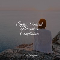The Calm Beginning_Relaxing Sleep Sound,Sleepy Times,Massagem Coleção de Músicas