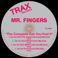 Can You Feel It_Mr. Fingers,Larry Heard