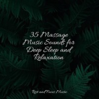 Twilight from the Window_Sleeping Music,Massage Tribe,Sleepy Times