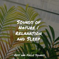 As the Lamb Sleeps_White Noise Sleep Sounds,Mindfulness Meditation Universe,Wellness