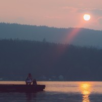 Birds Calling_Sleepy Times,Ocean Sounds,Sleep Sound of Nature