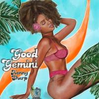 Good Gemini_Kenny Sharp