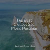 Stress-less Salvation_The Relaxation Principle,Deep Sleep,Echoes of Nature