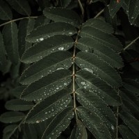 Soothe My Soul_Musica para Dormir Dream House,Kinderlieder-Superstar,Deep Sleep