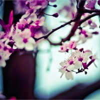 Awakening Waves_The Sleep Helpers,Classical New Age Piano Music,Spa