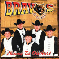 Nunca Te Olivdaré_Bravos de Ojinaga,Enrique Iglesias
