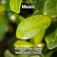 Great Ambient Sounds for Kids and Adults_Deep Sleep,Relaxing Music,New Age