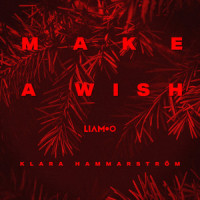 Make a Wish_LIAMOO,Klara Hammarström