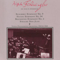 IV. Finale: Allegro molto_Wiener Philharmoniker,Wilhelm Furtwängler