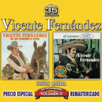 Ensayo_Vicente Fernández